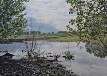 Mbi 300 hektarë ende nën ujë në Maliq, fermerët: Kemi humbur gjithçka
