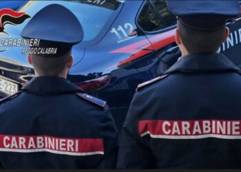 Goditet rrjeti shqiptar i drogës në Itali, zbardhet skema si rekrutoheshin të rinjtë nga Shqipëria