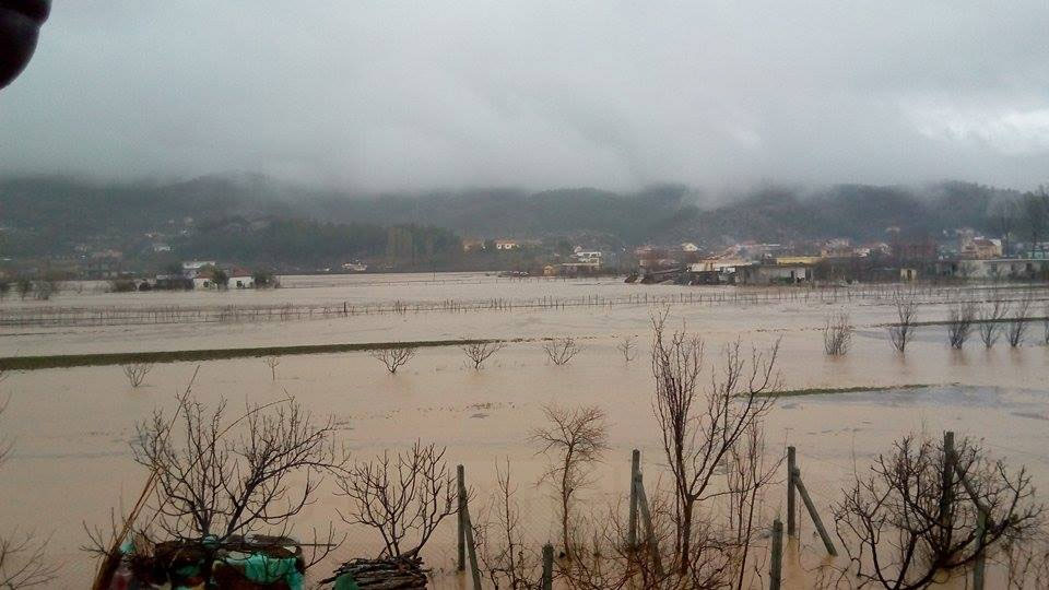 reshje-intensive-ne-oret-ne-vijim-igjeo-rrezik-per-permbytje-lokale-ne-shkoder-lezhe-dhe-durres