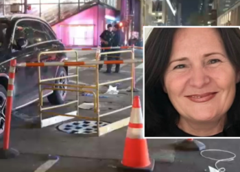Zbriti nga makina dhe u zhduk në pusetë! Humb jetën shqiptarja në New York
