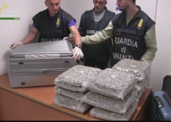 Eurojust zbardh operacionin Itali-Shqipëri: 12 të arrestuar për drogë, vrasje dhe pastrim parash