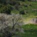 Përshkallëzohet situata, operacione tokësore izraelite në territorin libanez