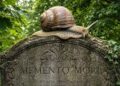 Memento