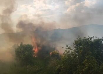 Digjet nga zjarri një sipërfaqe me shkurre dhe ullinj në Hoshtimë të Vlorës, ndërhyjnë forcat zjarrfikëse