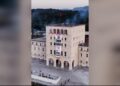 Pelikanët pushtojnë një universitet?