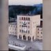 Pelikanët pushtojnë një universitet?
