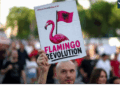 Protesta në pritje të “Mesias”