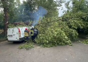 Reshje të dendura shiu në Korçë/ Problematika në rrugë, rrëzohet një pemë mbi automjet
