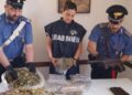 Ngriti “shtëpi bari” në mes të fshatit, arrestohet shqiptari! Sistem modern kultivimi me panele diellore, aspiratorë dhe…