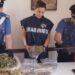 Ngriti “shtëpi bari” në mes të fshatit, arrestohet shqiptari! Sistem modern kultivimi me panele diellore, aspiratorë dhe…