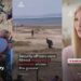 “Al Jazeera” pretendon se protesta para Kryeministrisë nisi pas komenteve të Ivanka Trump se Sazani është ishull privat