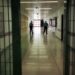 Amnistia Penale, zëvendësministri i Drejtësisë zbulon kush përfiton dhe cilat kategori përjashtohen