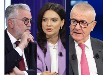 Deklaratat e Spiropalit? Gogu për kundërshtitë brenda PS: Jemi parti me biodiversitet