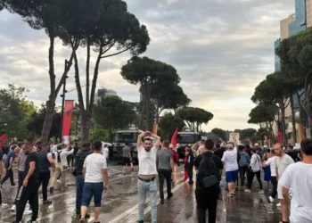 Protesta kundër investimit në Zvernec, aktivistët e Vetëvendosjes prijnë përplasjen me policinë në Tiranë