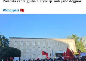 Deputetët e PD-së në krah të protestuesve që kërkojnë burgosjen e Sali Berishës!