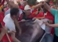 Shqipëria vazhdon te sillet si një vend që ende nuk ka kaluar nga fisi tek qyteti