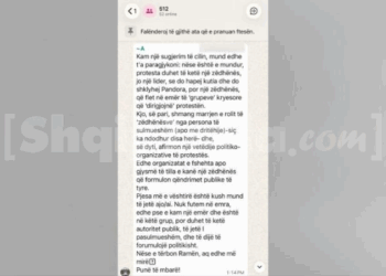 Zbardhet mesazhi/ Si shefi i zyrës së shtypit të PD jep orientime për ‘protestën e pavarur’ në bulevard