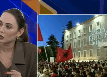 Deputetja e PS: Protesta pa kokë, me parti të vogla dhe PD-në brenda saj!