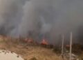 Zjarri në kodrat e Vlorës, flakët afrohen pranë banesave, detajet e para