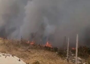 Zjarri në kodrat e Vlorës, flakët afrohen pranë banesave, detajet e para