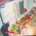 Goditen dy raste grabitjesh në Durrës, arrestohen dy persona, policia sekuestron edhe armë zjarri (EMRAT)