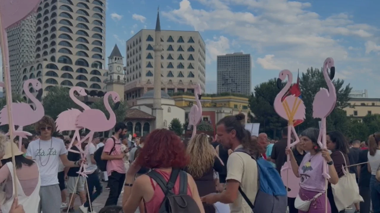 Dita e katërt e protestës për Zvërnecin  nis mbledhja e qytetarëve në sheshin  Skënderbej 