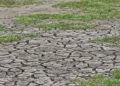 “I nxehtë siç nuk e kemi parë kurrë”, OKB paralajmëron për ardhjen e fenomenit Super El Nino