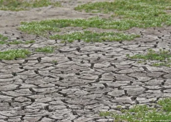 “I nxehtë siç nuk e kemi parë kurrë”, OKB paralajmëron për ardhjen e fenomenit Super El Nino