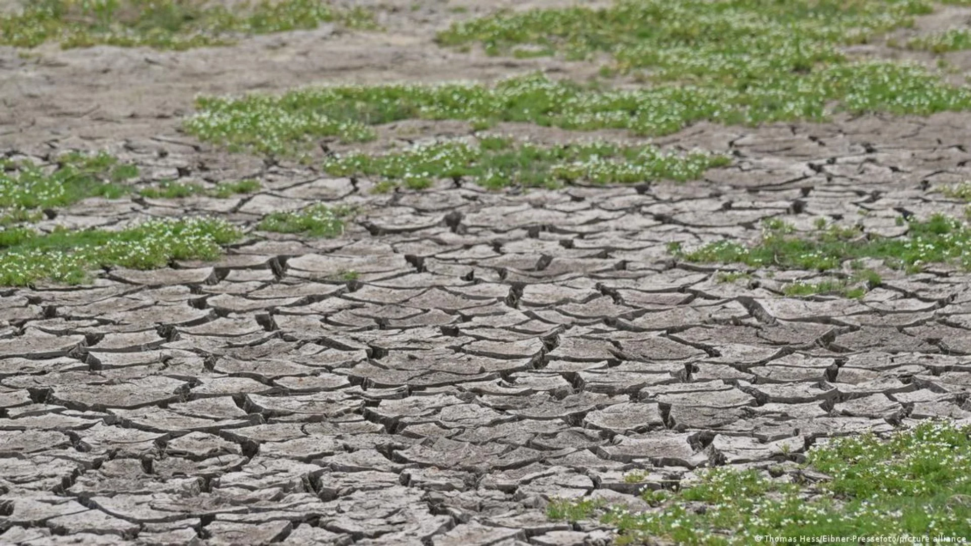  I nxehtë siç nuk e kemi parë kurrë   OKB paralajmëron për ardhjen e fenomenit Super El Nino