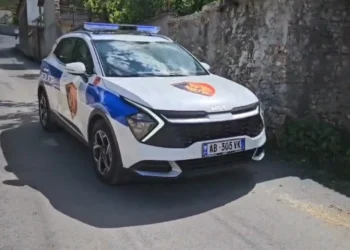Ngjarje e rëndë në Maliq, një person vret një polic dhe plagos një tjetër në Lozhan
