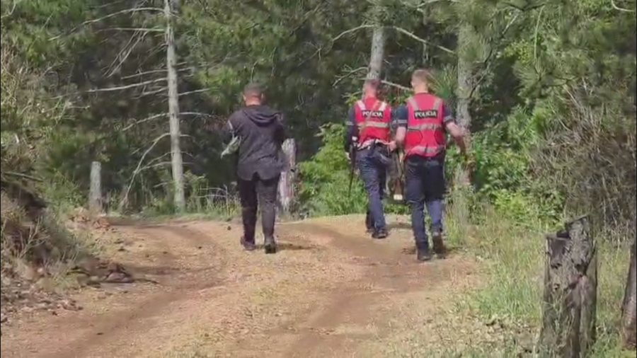 Vetëm 6 policë të Shqiponjave në operacion  si u organizua puna për kapjen e ish ushtarakut me rrezikshmëri të lartë