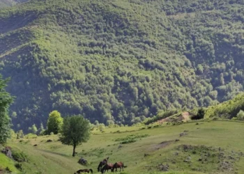 Zhduken dy turistë gjermanë në malin e Polisit në Librazhd, asnjë gjurmë që prej mbrëmjes së djeshme