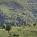 Zhduken dy turistë gjermanë në malin e Polisit në Librazhd, asnjë gjurmë që prej mbrëmjes së djeshme