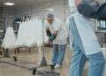 Siguria ushqimore, dyfishohen procedimet/ Ekspertët: Sfidë, kushtet higjeno-sanitare dhe gjurmueshmëria