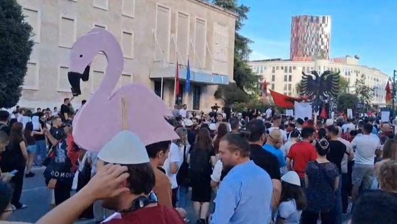 Ku vajti Zvërneci për protestën 