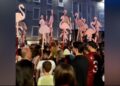 Revolucioni i flamingove dhe frika nga Perëndimi