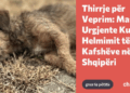 “Animals Need Me” peticion institucioneve: Të ndalet helmimi i kafshëve në Shqipëri