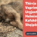 “Animals Need Me” peticion institucioneve: Të ndalet helmimi i kafshëve në Shqipëri