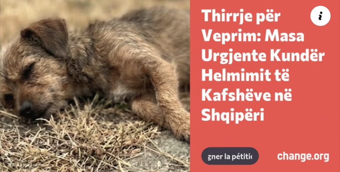  Animals Need Me  peticion institucioneve  Të ndalet helmimi i kafshëve në Shqipëri