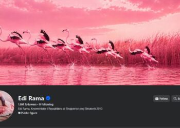Simboli i protestave në Tiranë! Flamingot ”pushtojnë” Facebook-un e Ramës