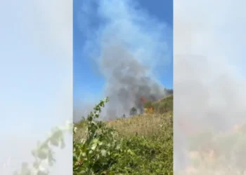 Pas disa orësh betejë me flakët, vihet nën kontroll zjarri masiv në Cërrik