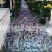 FOTOLAJM/ Protesta në ditën e 15-të, ja sa është pjesëmarrja