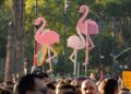 Flamingos, një revolucion proxy?