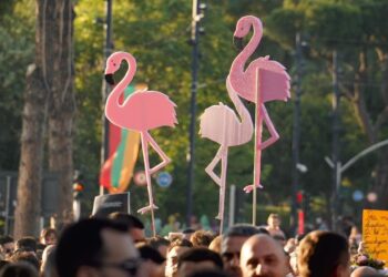 Flamingos, një revolucion proxy?