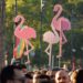 Flamingos, një revolucion proxy?