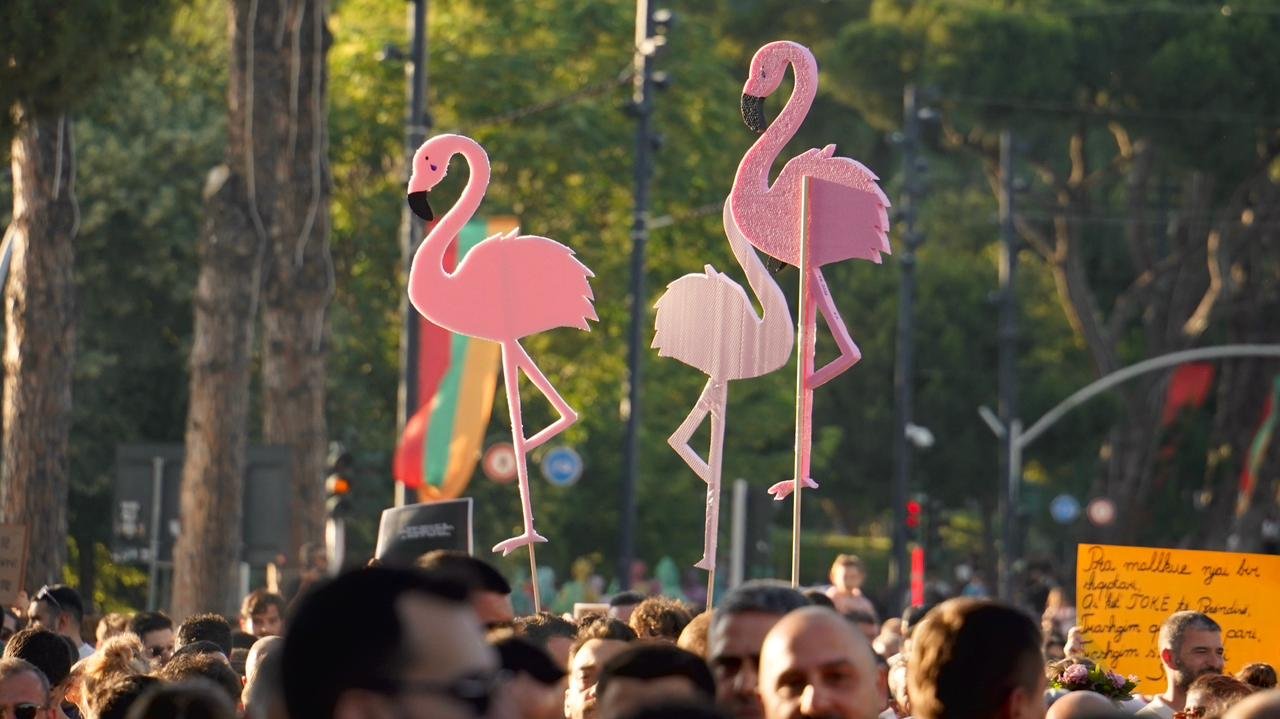 Flamingos  një revolucion proxy 