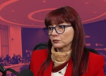 “Flamur Noka strumbullari i armiqësive në parti”, Doris Madhi flet për situatën në PD: Berisha e ka bërë pronë private