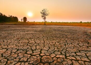 “El Nino” rikthehet, bota do të përballet me 5 vite të nxehti ekstrem