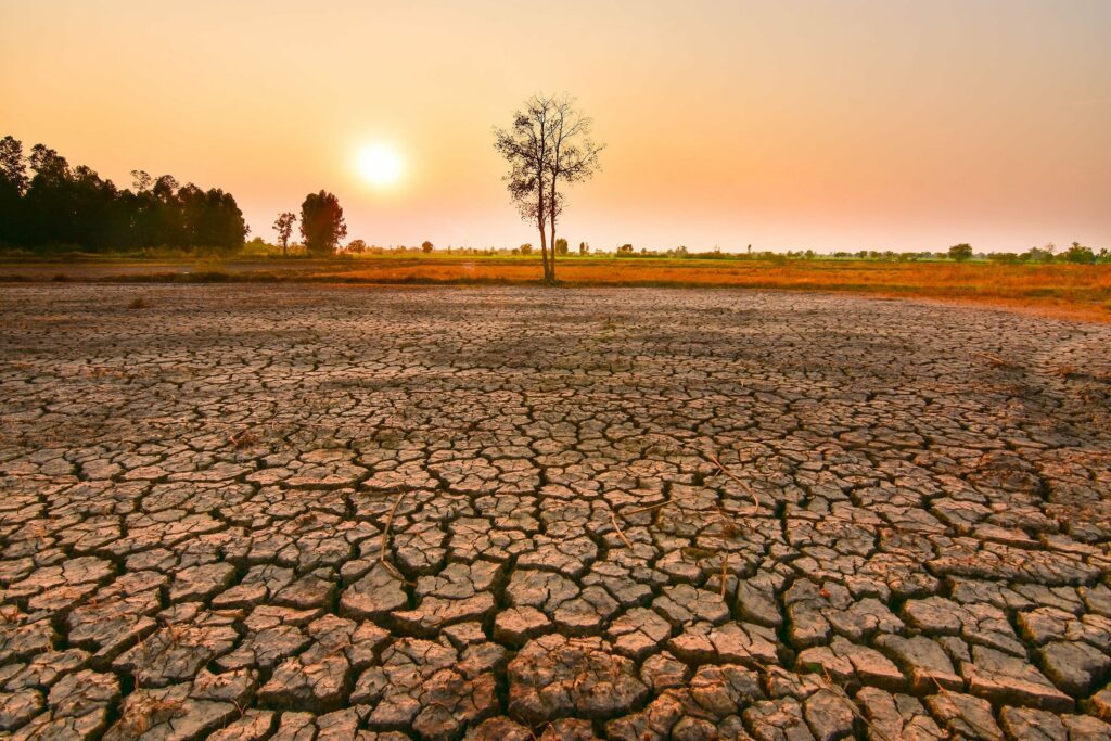  El Nino  rikthehet  bota do të përballet me 5 vite të nxehti ekstrem