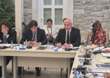 Kapetanović: Ballkani duhet eksportojë ide, jo vetëm punëtorë